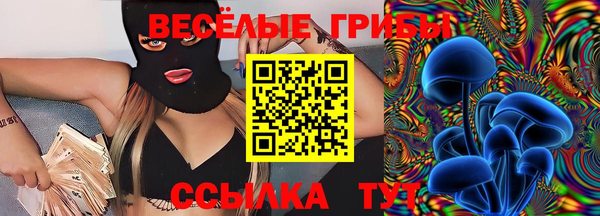 Псилоцибиновые грибы Cubensis Обь