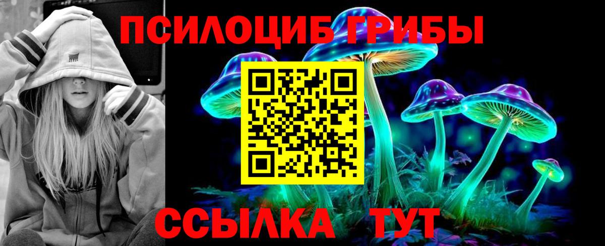 Псилоцибиновые грибы мицелий  Псилоцибиновые грибы Psilocybe  Вход с VPN  Обь 